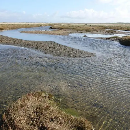 4 Person In Romo-by Traum