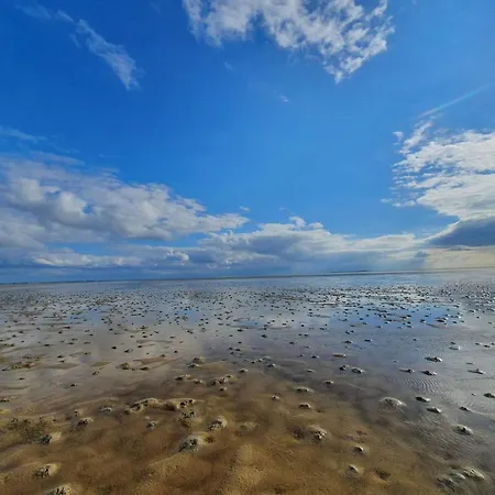 4 Person In Romo-by Traum Apartment