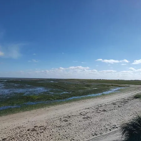 4 Person In Romo-by Traum Apartment