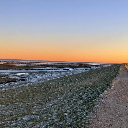 4 Person In Romo-by Traum *