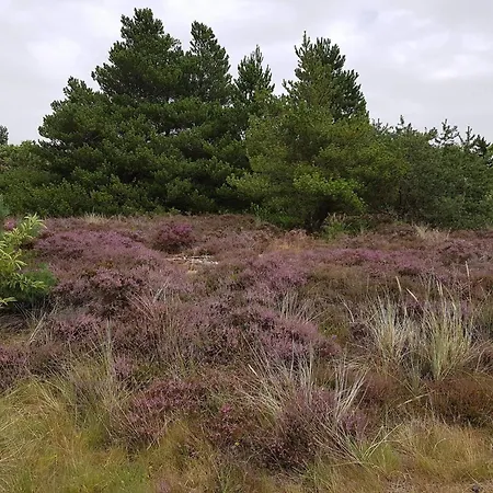 Apartment 4 Person In Romo-by Traum