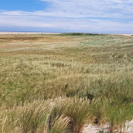 Apartment 4 Person In Romo-by Traum