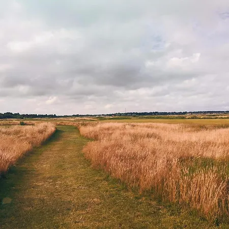 Apartment 4 Person In Romo-by Traum